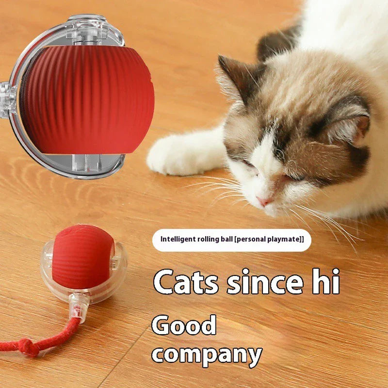 Automatic Moving Kitten Teaser Toy Vehicle