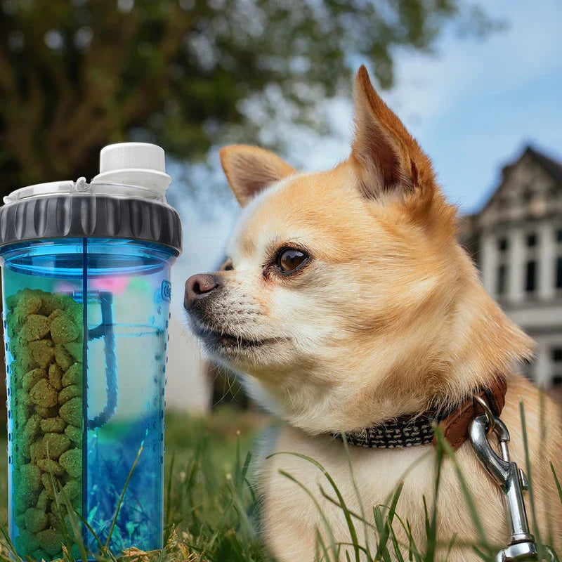 Collapsible Silicone Pet Travel Bowl