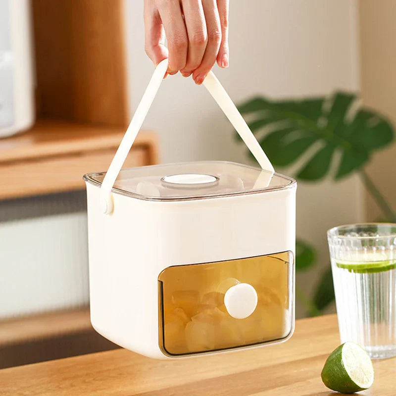 Double Layer Portable Ice Cube Tray Box