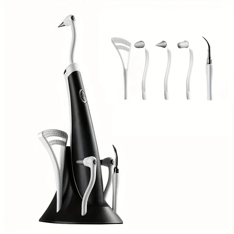 Electric Dental Calculus Remover Kit (5 Heads, Batt Op)