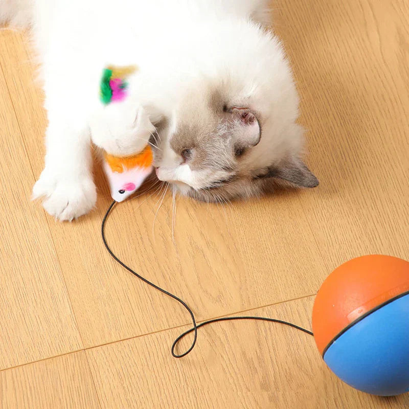 Engaging Play Toys For Cats Assortment