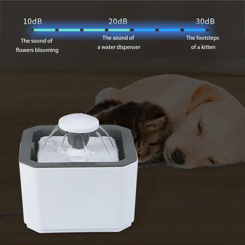 Filtered Pet Water Fountain Dispenser