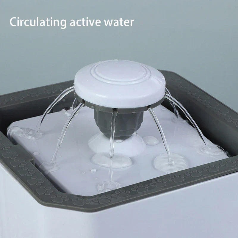 Filtered Pet Water Fountain Dispenser