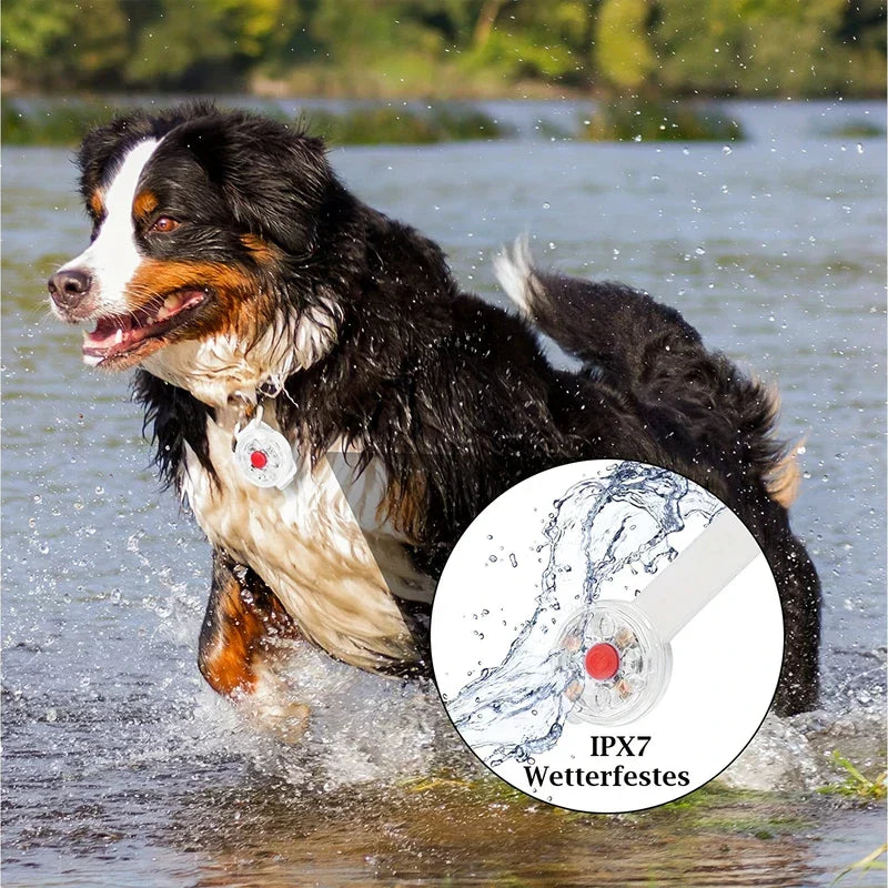 Led Clip-On Pet Safety Light Tag Pendant