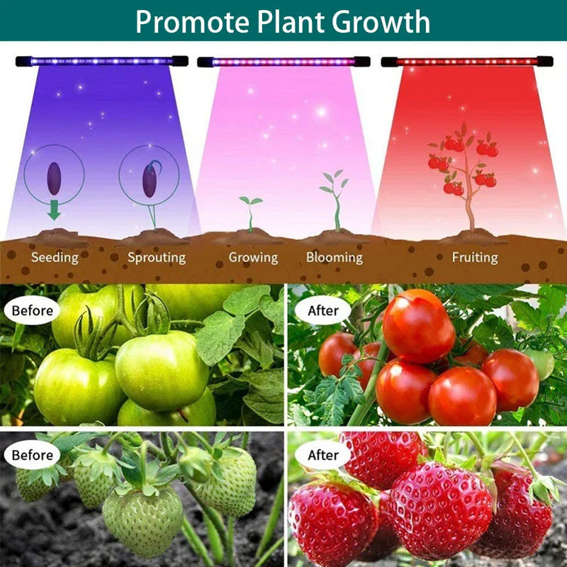 Led Grow Light Lamp For Indoor Plants