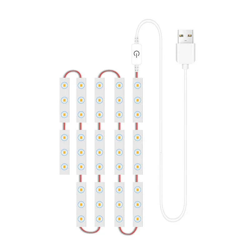 Monochrome Led String Fairy Lights Decor