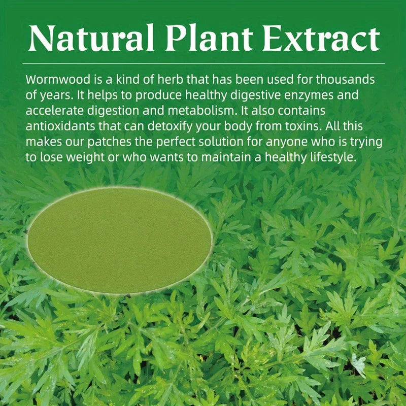 Mugwort Herbal Slimming Detox Waist Patch