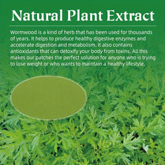Mugwort Herbal Slimming Detox Waist Patch
