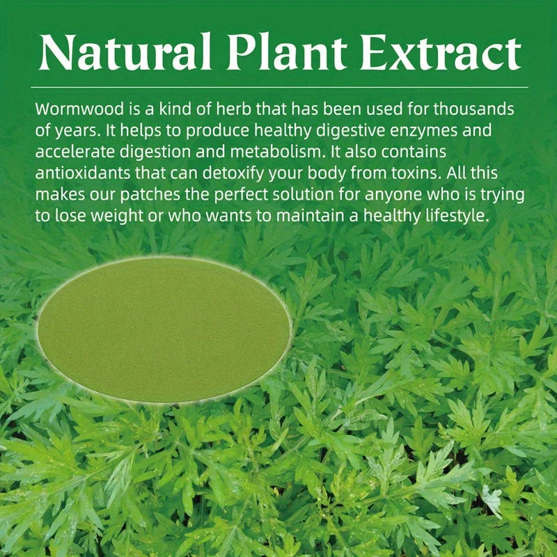 Mugwort Herbal Slimming Detox Waist Patch