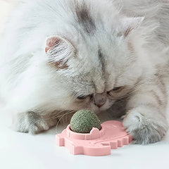 Natural Catnip Ball Wall Toy Lollipop