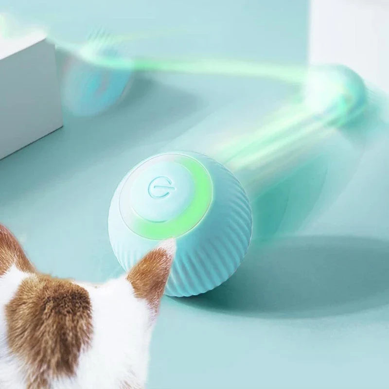 Pet Chew Toy Ball Interactive