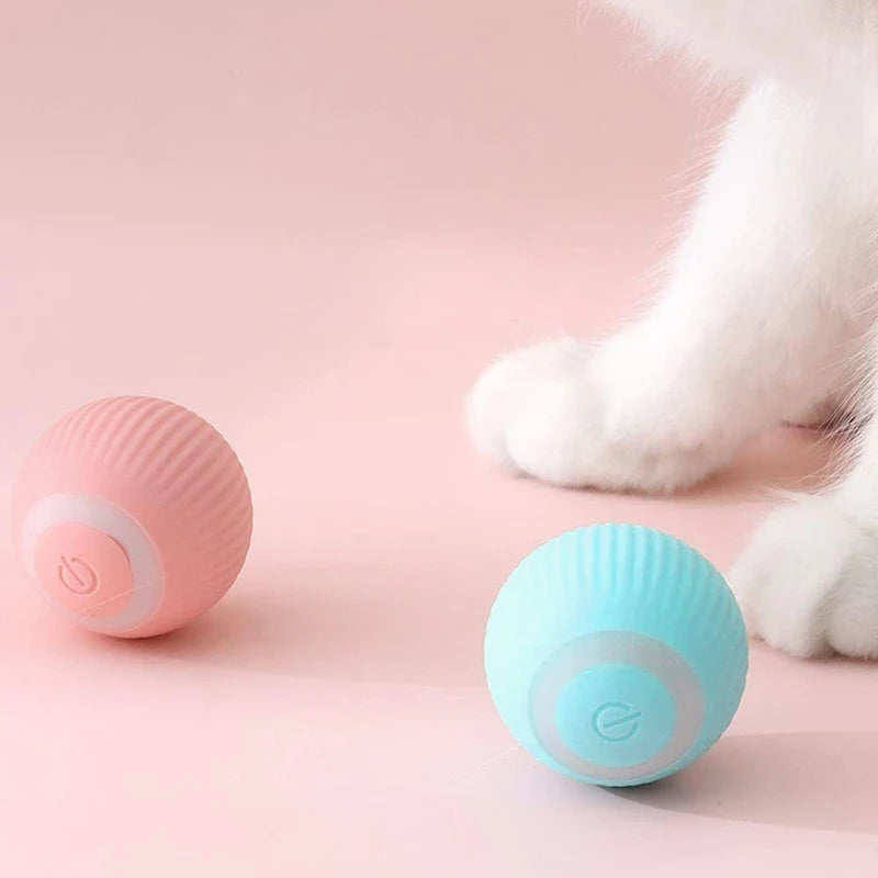 Pet Chew Toy Ball Interactive