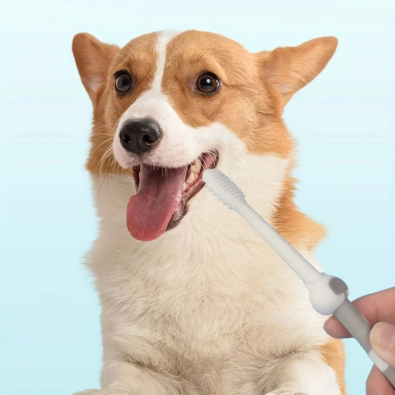 Pet Finger Toothbrush Set