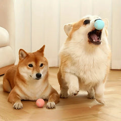 Smart Interactive Rolling Pet Ball Toy