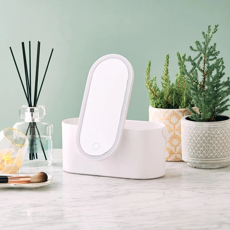 Travel Makeup Case with LED Mirror Organizer