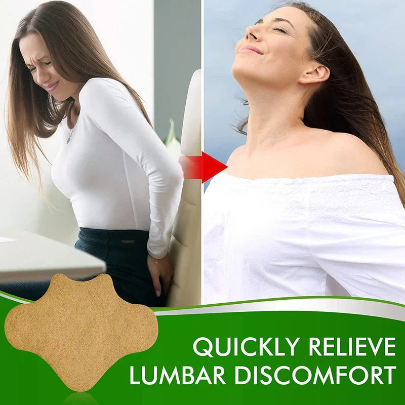 Wormwood Ginger Heat Patch for Back Joint Pain
