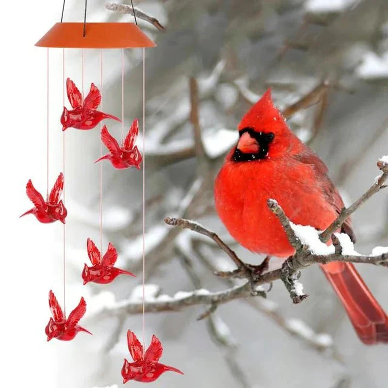 Enchanted Garden: Solar-Powered Color-Changing LED Wind Chimes New HomeGoods