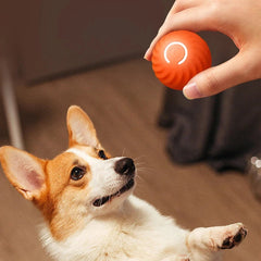 Jouet interactif intelligent balle rebondissante pour chien