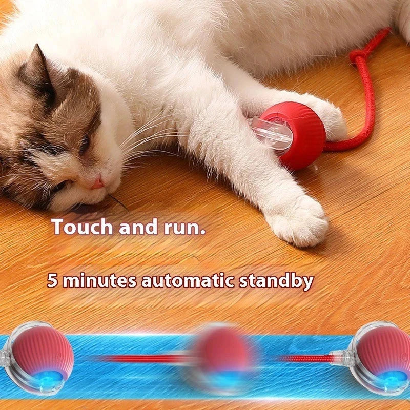 Automatic Moving Kitten Teaser Toy Vehicle