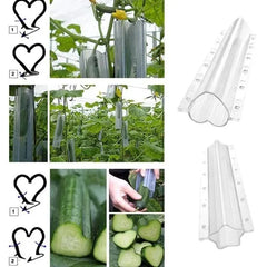 Cucumber Shaping Mold