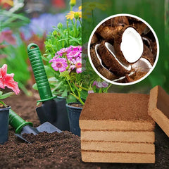 COCO Organic Coconut Coir for Plants