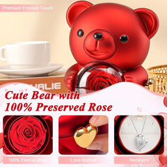 Teddy Bear with Preserved Rose Flower in Bear with Necklace and Gift Box