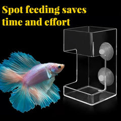 No Mess Aquarium Feeder