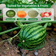 Pumpkin Support, Watermelon Holder