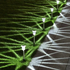 Solar Powered Ground Stake Garden Lights